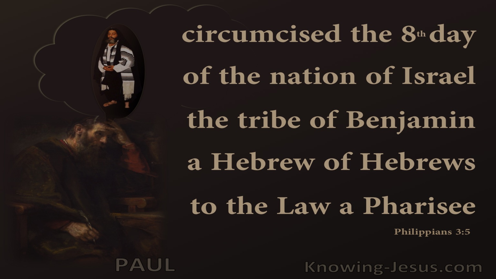 Philippians 3:5 Paul A Hebrews Of Hebrews (brown)